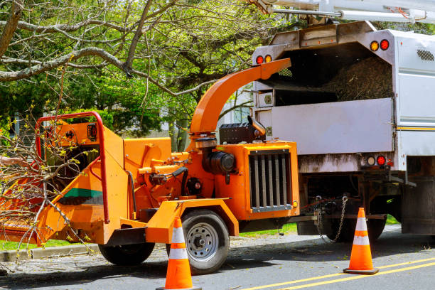 Best Utility Line Clearance  in Nokomis, FL